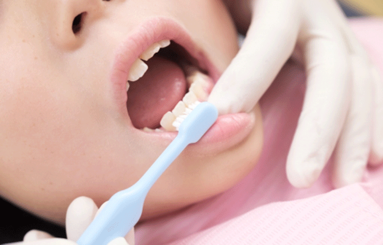 久歯の卵（歯胚）が確認できるまで、乳歯を特にケアする必要があります。