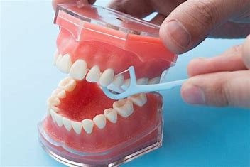 宇治市　歯医者　flossing なかむら歯科医院