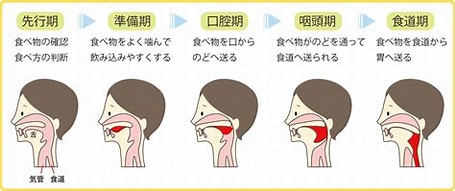 宇治市　歯医者　swallowing　なかむら歯科医院