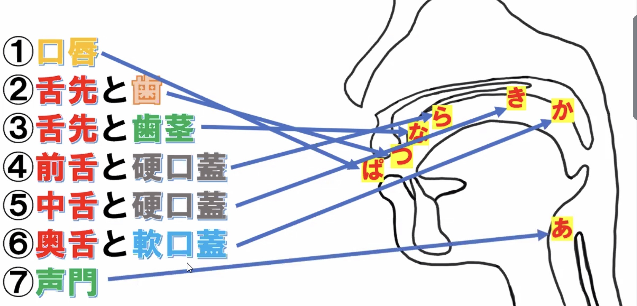 口腔顎顔面領域の異常と言語障害 ― 器質性構音障害治療のポイント 口腔顎顔面領域の異常と言語障害 ― 器質性構音障害治療の