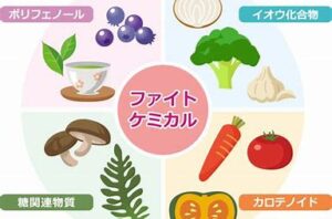 宇治市　歯医者　phytochemical　なかむら歯科医院