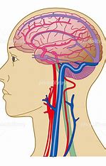 宇治市　歯医者　brain blood　なかむら歯科医院