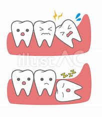 宇治市　歯医者　wisdam teeth　なかむら歯科医院