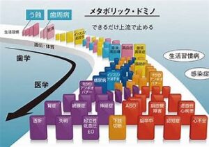 宇治市　歯医者　metabolic domino　なかむら歯科医院