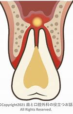 宇治市　歯医者　sinus　なかむら歯科医院