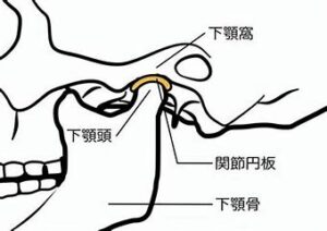 宇治市　歯医者　TMJ　なかむら歯科医院