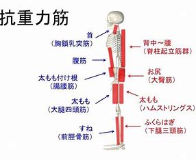 宇治市　歯医者　antigravity　なかむら歯科医院