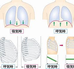 宇治市　歯医者　breath　なかむら歯科医院