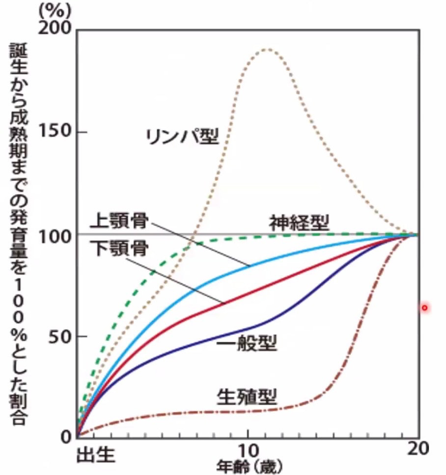 口腔機能の成長期