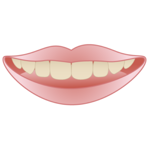 宇治市　歯医者　flolide tooth　なかむら歯科医院