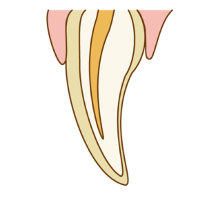 宇治市　歯医者　tooth　なかむら歯科医院