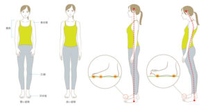 宇治市 歯医者 posture なかむら歯科医院