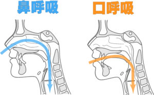 宇治市　歯医者　breath　なかむら歯科医院